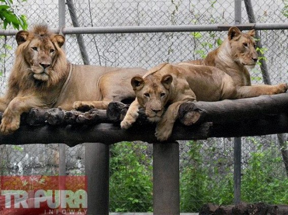State to celebrate 31st State Level Wildlife conservation week State to celebrate 31st State Level Wildlife conservation week